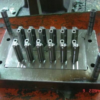 FUTA PET Multi Cavity Mold , Hasco Injection Moulding Services